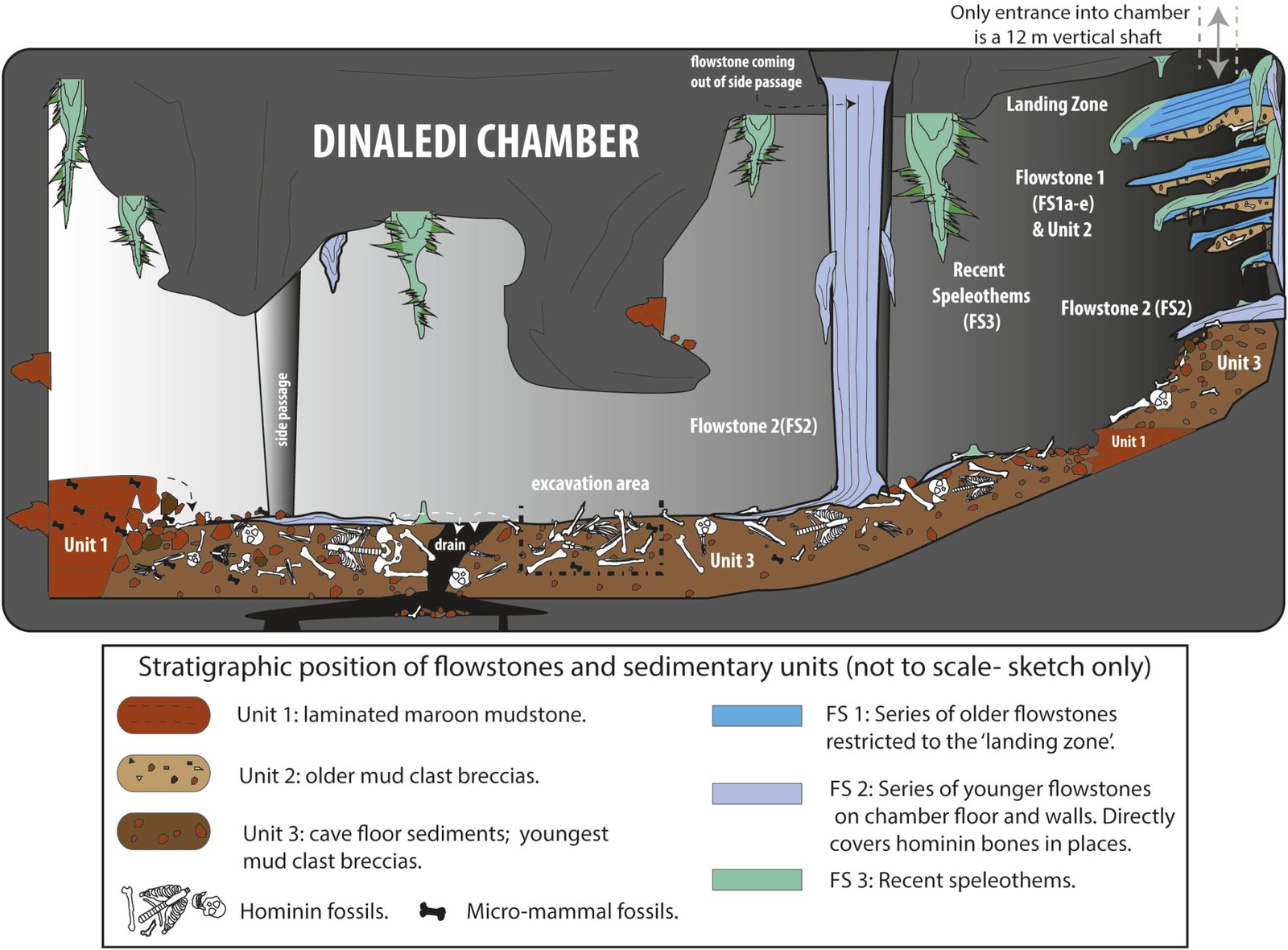 Dinaledi_Chamber_illustration