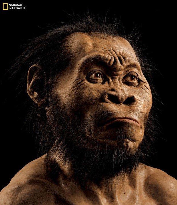 human-ancestor_fran-1